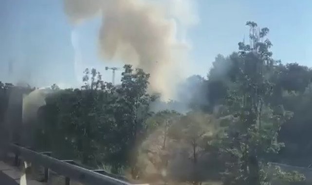 Üsküdar&#039;da ağaçlık alanda korkutan yangın