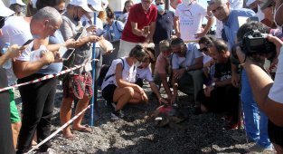 Uydu takip cihazı takılan 2 caretta caretta denize bırakıldı