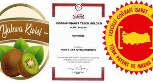 Yalova kivisi coğrafi işaretle tescillendi