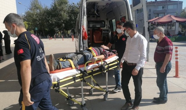 Yaşlı adam ceviz ağacının kurbanı oluyordu