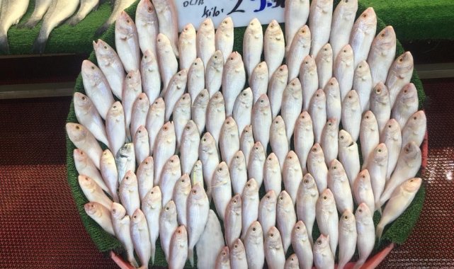 Yeni sezonda balıklar tezgahlardaki yerini aldı