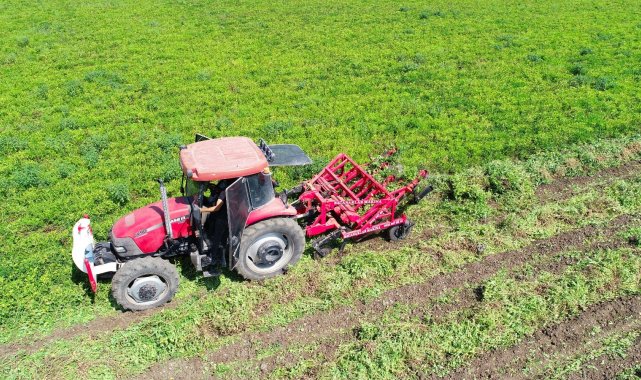 Yer fıstığı fiyatları yüzde 50 düştü
