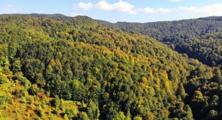 Zonguldak ormanları sonbaharı karşılıyor