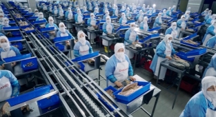 Dardanel, Türkiye’nin “kadın dostu şirketleri” listesinde yükselişini sürdürüyor