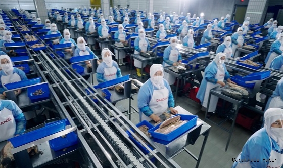 Dardanel, Türkiye’nin “kadın dostu şirketleri” listesinde yükselişini sürdürüyor