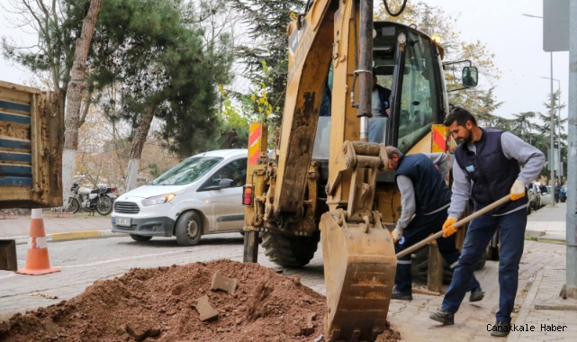 Biga'da hummalı çalışma