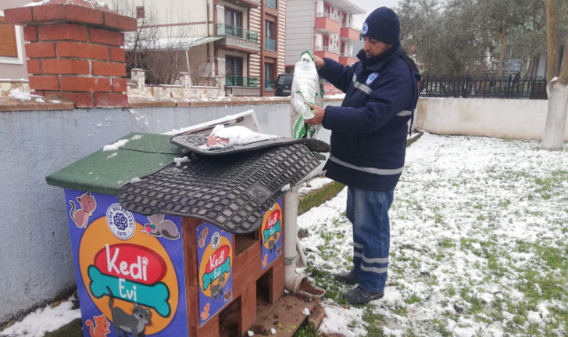 Biga Belediyesi’nden can dostlarımıza mama desteği