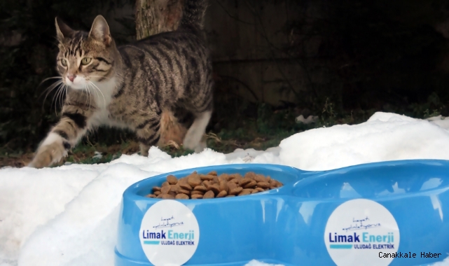 ‘Sevgimiz, Enerjimiz Sizinle’