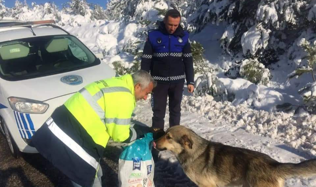 Çan Belediyesi’nden sınırları aşan sevgi