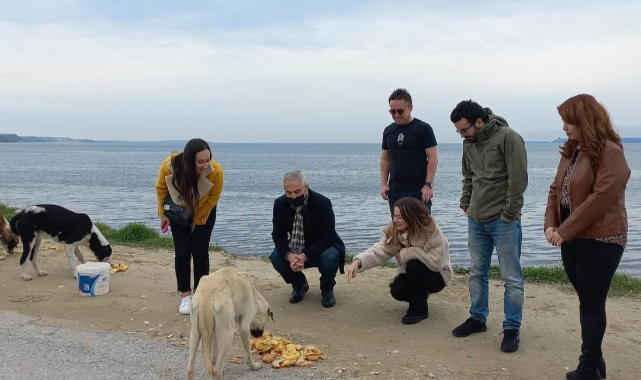 Can dostlarımıza mama desteği