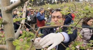 Elma iç kurduna karşı biyolojik mücadele