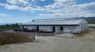 Yatırımlara TKDK desteği