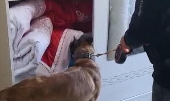 Uyuşturucu operasyonu; 40 gözaltı