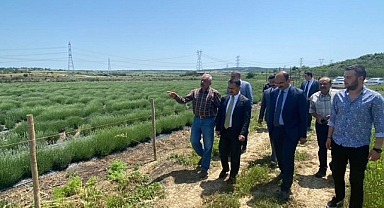 Vali Aktaş lavanta bahçelerini inceledi