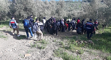 1479 düzensiz göçmen yakalandı