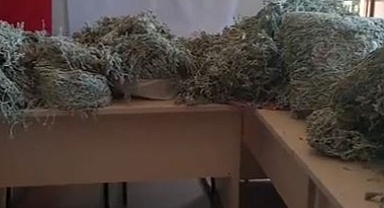 657 bin 558 TL para cezası uygulandı