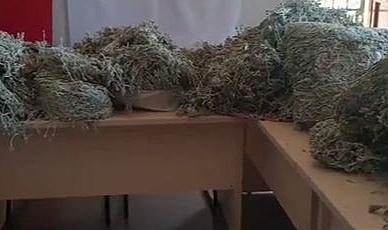 657 bin 558 TL para cezası uygulandı