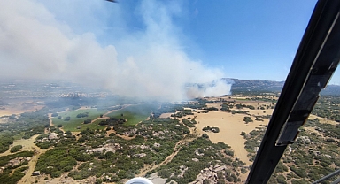Alemşah Köyü'nde orman yangını kontrol altında