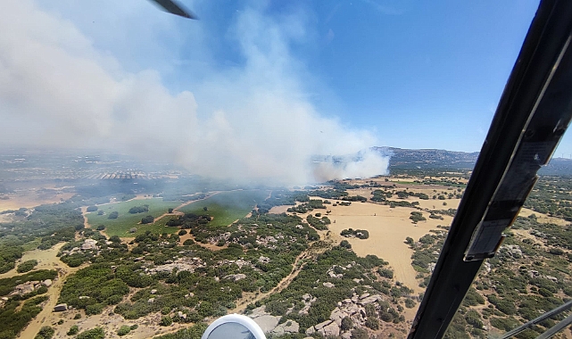 Alemşah Köyü&#039;nde orman yangını kontrol altında