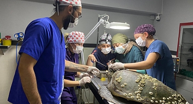 Ameliyatı başarılı geçti