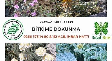 Bitkileri toplayanlara 109.593,00 TL para cezası uygulanacak