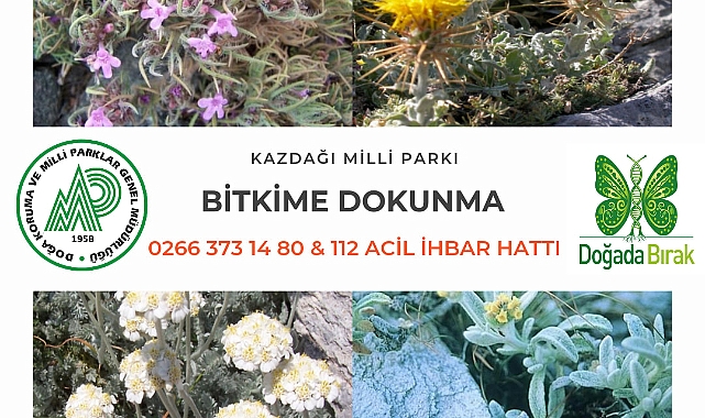 Bitkileri toplayanlara 109.593,00 TL para cezası uygulanacak