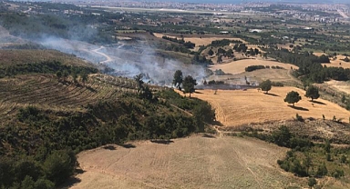 Orman yangını söndürüldü