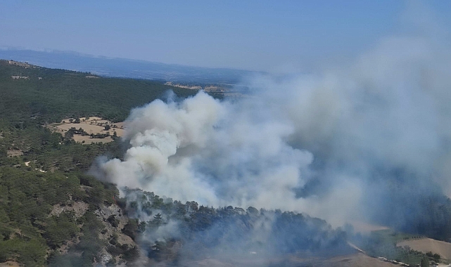 Orman yangını söndürüldü