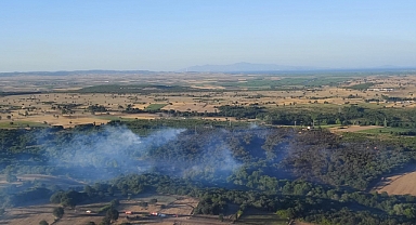 Orman yangını söndürüldü