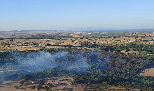 Orman yangını söndürüldü