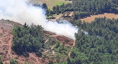 Ormanlara giriş yasaklandı