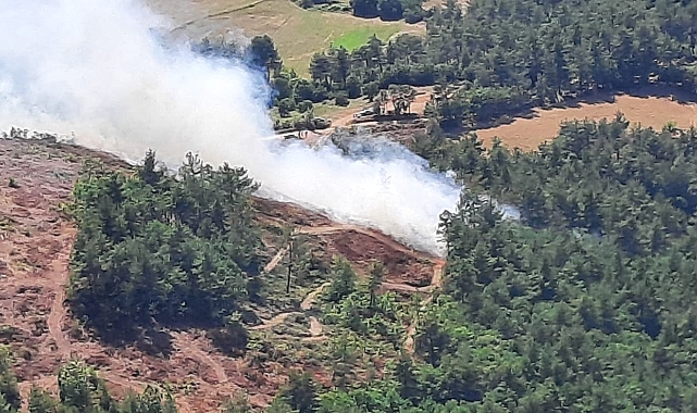 Ormanlara giriş yasaklandı