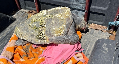 Yaralı halde bulundu