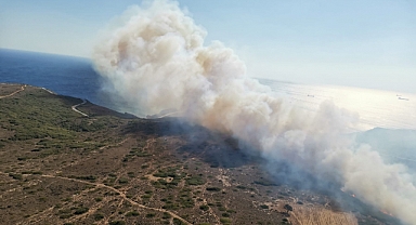 Bozcaada'da yangın