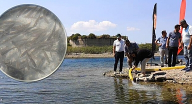 Göletlere 1 milyon 500 bin balık yavrusu bırakıldı