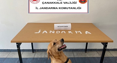 Jandarmadan operasyon