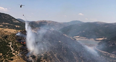 Yangın ormana sıçradı