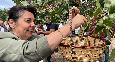 İskenderoğlu'ndan Şahin'e davet