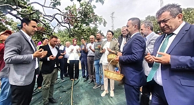 Şapköy’de Fıstık Hasat Şenliği düzenlendi