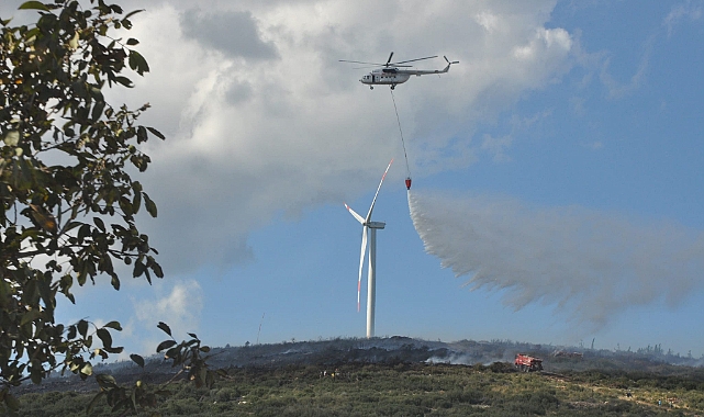 Yangında 3 hektarlık alan zarar gördü