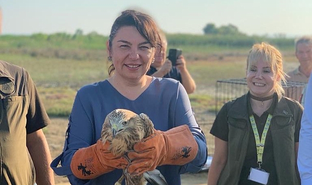 Yaralı şah kartal tedavi edilip doğaya bırakıldı