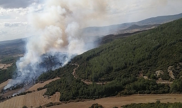 Orman yangını söndürüldü