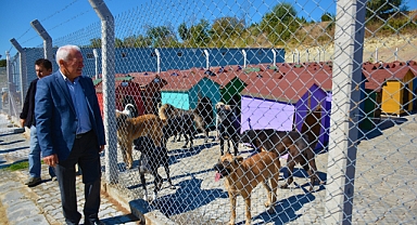 Başkan Yılmaz; "Can dostlarımızı sahiplenin"
