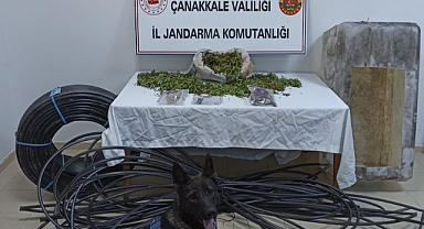 Jandarmadan uyuşturucu operasyonu