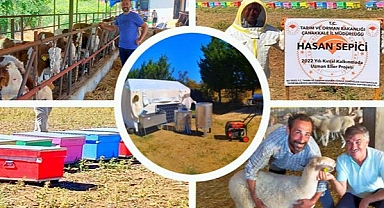 Renkli kovanlar ilgi çekiyor