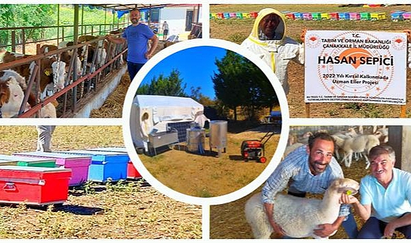 Renkli kovanlar ilgi çekiyor