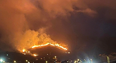 Gökçeada'da yangın