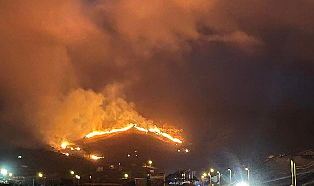 Gökçeada&#039;da yangın