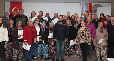 Salamura zeytin işleme teknikleri anlatıldı