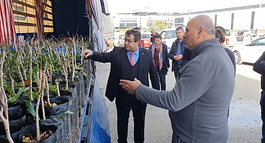 Antepfıstığı fidanları toprakla buluşacak